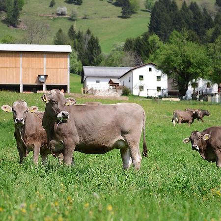 Ekoloska Turisticna Kmetija Pri Lovrcu Tolmin Esterno foto